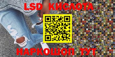 мет Кингисепп