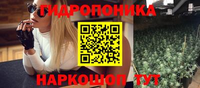 мет Кингисепп