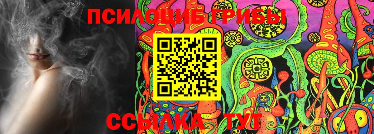 Галлюциногенные грибы Cubensis  где найти   Галлюциногенные грибы MAGIC MUSHROOMS  Кумертау  Вход с VPN 
